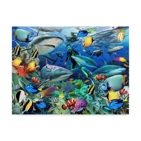 Howard Robinson 'Shark Reef' Canvas Art,14x19